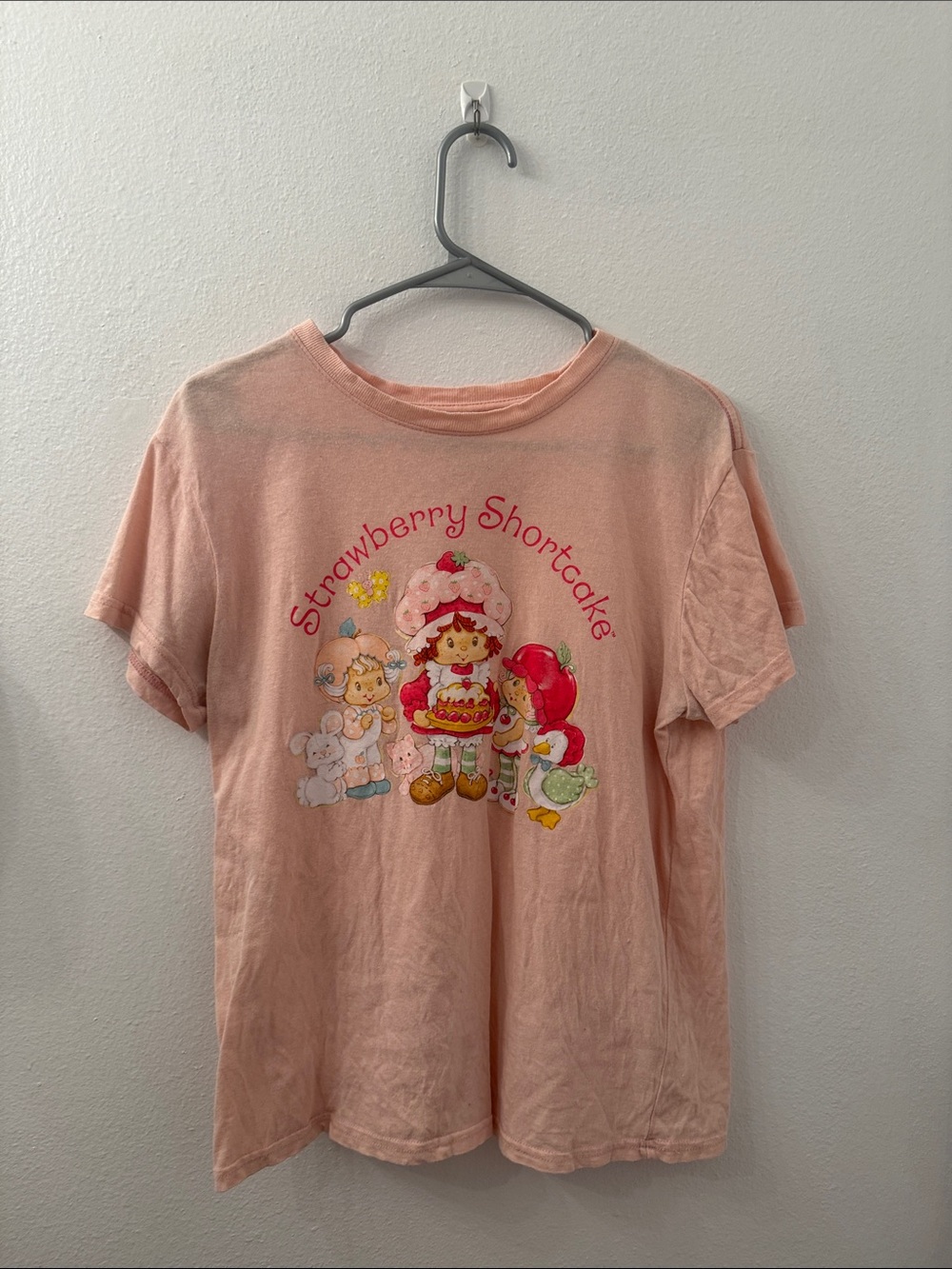 Sanrio Strawberry Shortcake Pink Graphic Tee